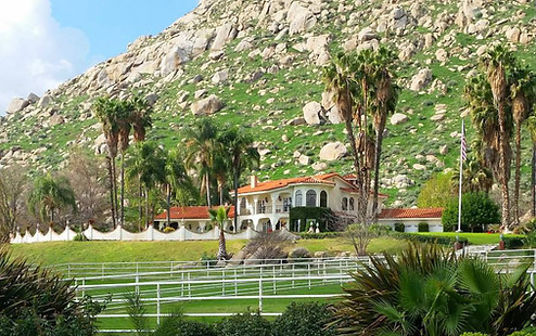 rocky mountain teddy bear bernedoodle puppies