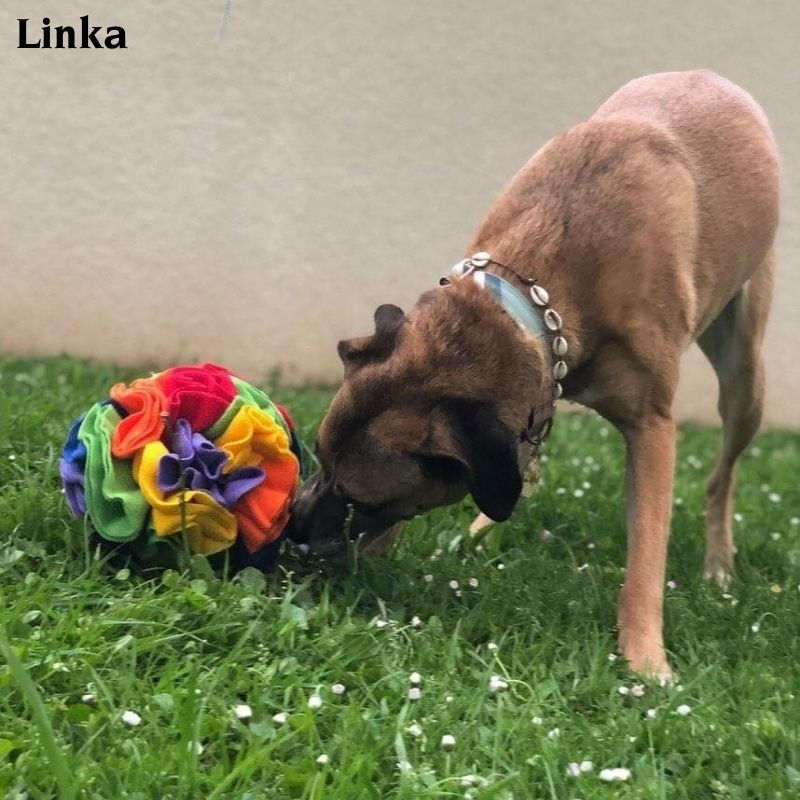 Miniature : Balle de fouille multicolore