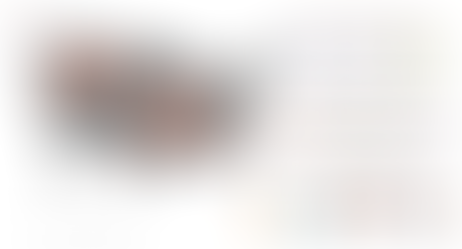 Fat dogs of the US: Dog obesity an epidemic