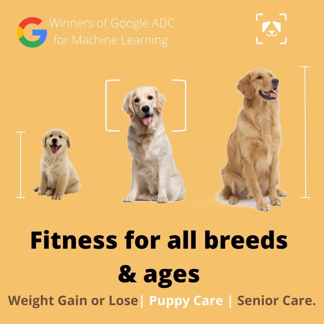 puppy calorie calculator puppy calorie calculator