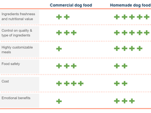 Why homemade dog food is best for your pooch?