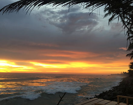 Sunset over ocean in Srilanka. Palm trees swaying.