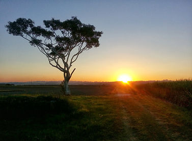 Sunset over a bare feild. Australia