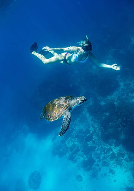 Underwater swimming with a turtle