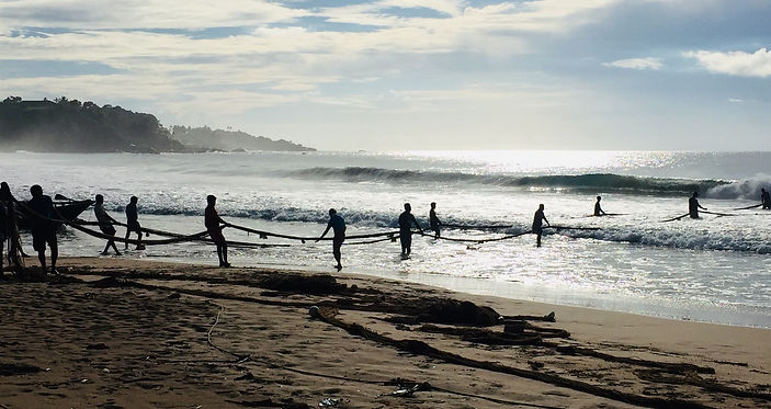 Sri lanka. lots of men on the beach pulling in the giant fishing net.