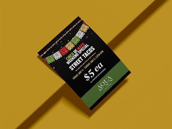 Choctaw Cainso - Aqua Promotion Flyer.jpg