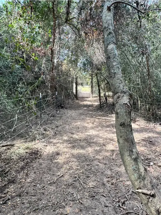 Overgrown fence line being cleared to improve access and visibility by JN Bar Land Management