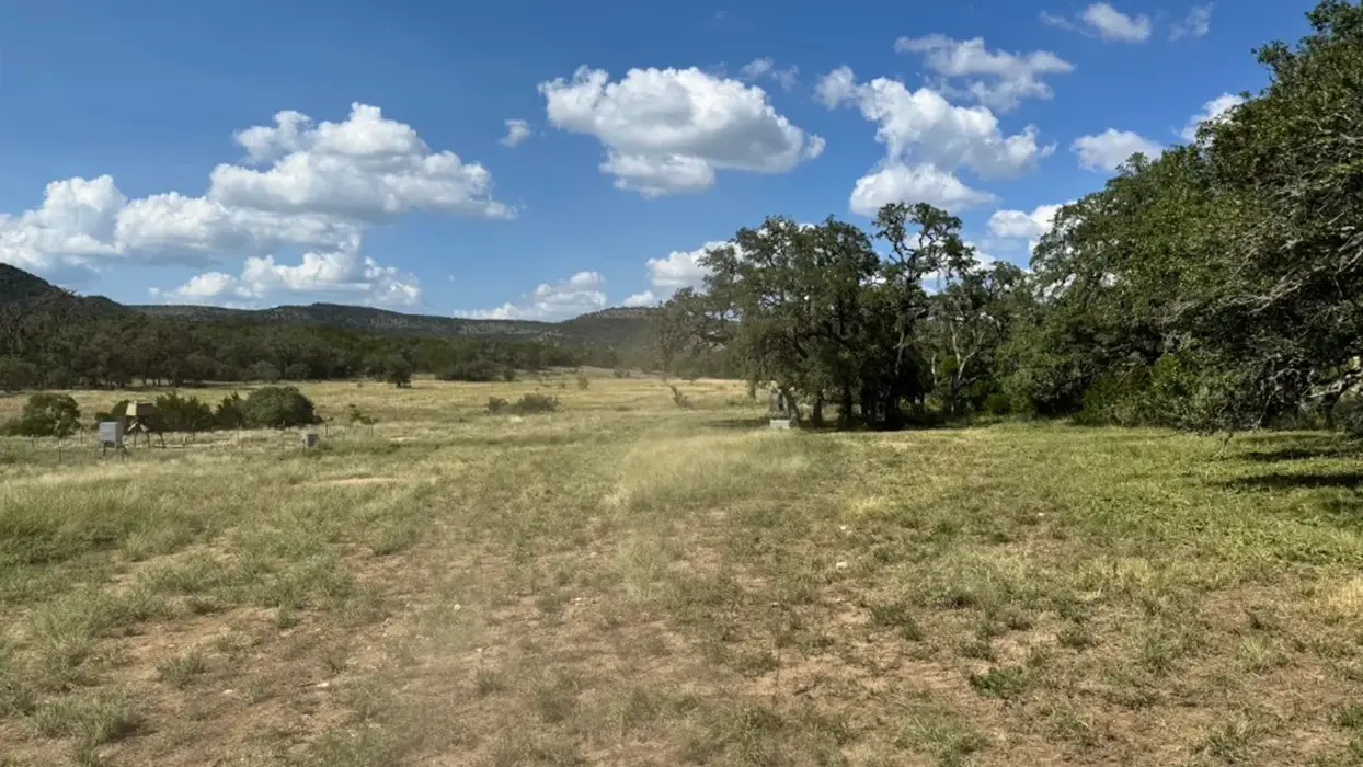Clean, evenly shredded pasture in the Texas Hill Country showing smooth, restored grass surface.
