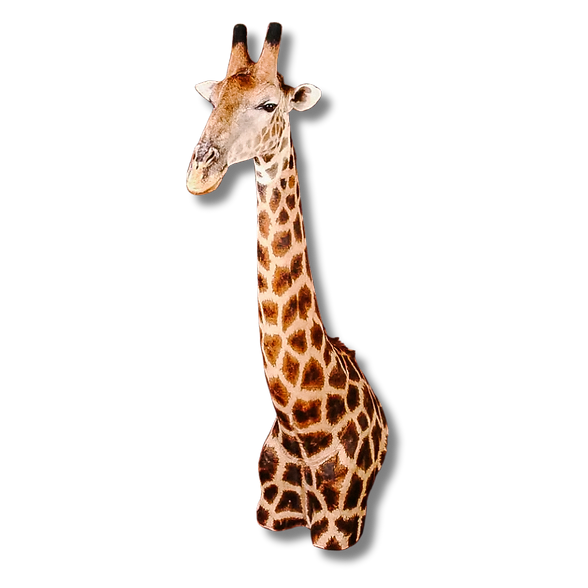 Giraffe shoulder mount