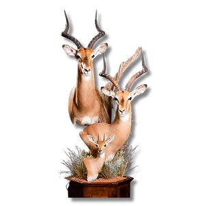 Impala table pedestal