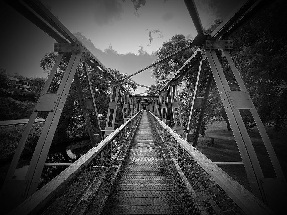 paeroa-rail-trail.jpg