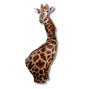 Giraffe wall pedestal