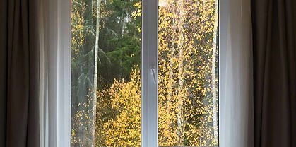 Casement window with tree outside it