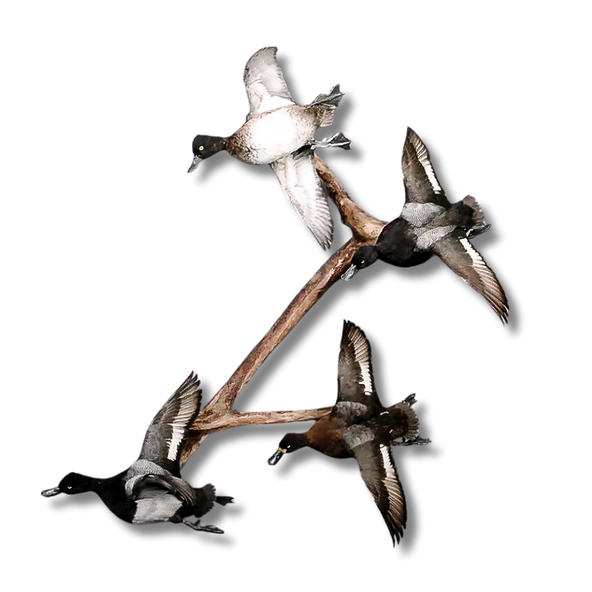 Lifesize waterfowl mount