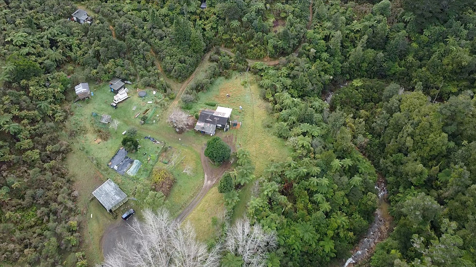 paeroa-rail-trail.jpg