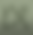 Screenshot 2026-06-11 124904.png