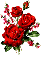 Rosas_brillantes