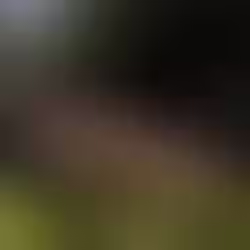 Jak si pomoci dýcháním na podzim?
