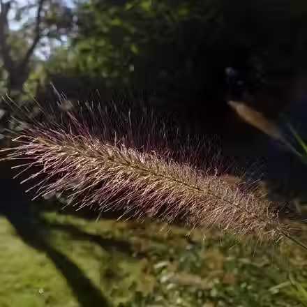 Jak si pomoci dýcháním na podzim?