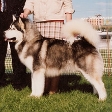 Hemi Best Sweeps Alberta 2006(5).jpg