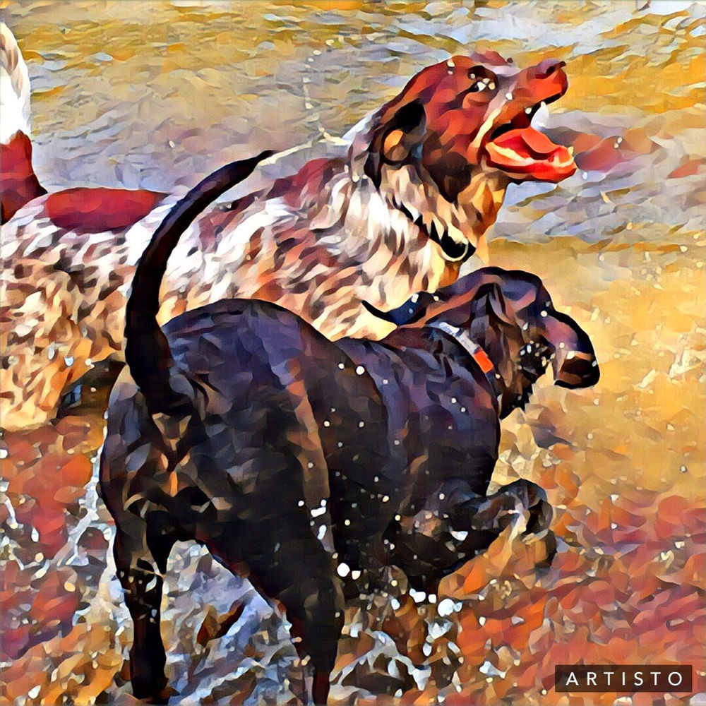 Asbury Trails in Wilmore, KY Backroad Bluegrass Kentucky Travel Blog