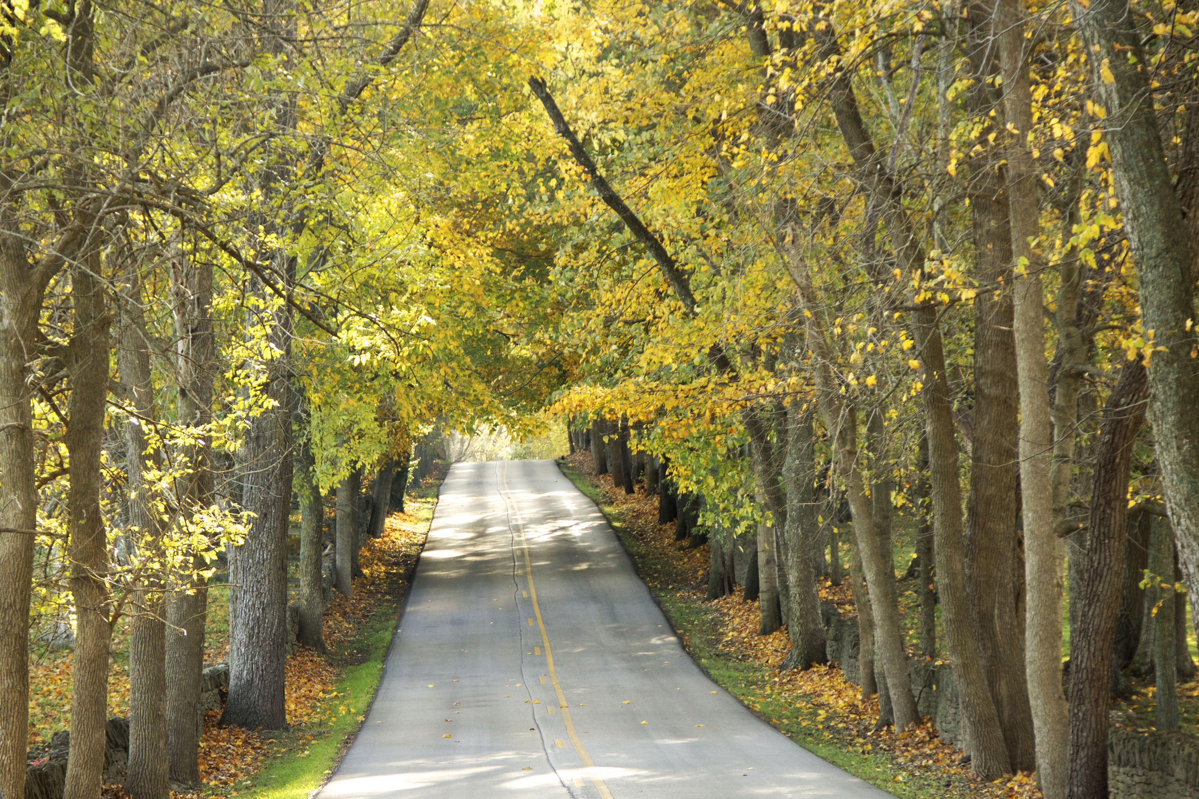Asbury Trails in Wilmore, KY