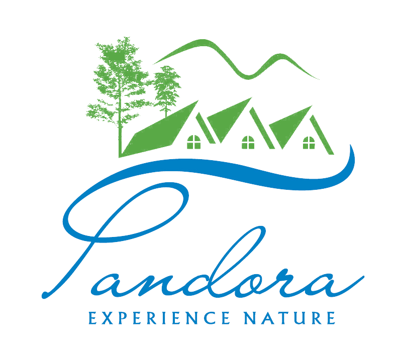 Pandora Hill Resort in Ooty, India