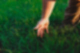 untitled-356.jpg