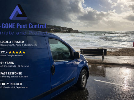 Discreet Pest Control – Unmarked Vans Available in Bournemouth, Poole & Christchurch