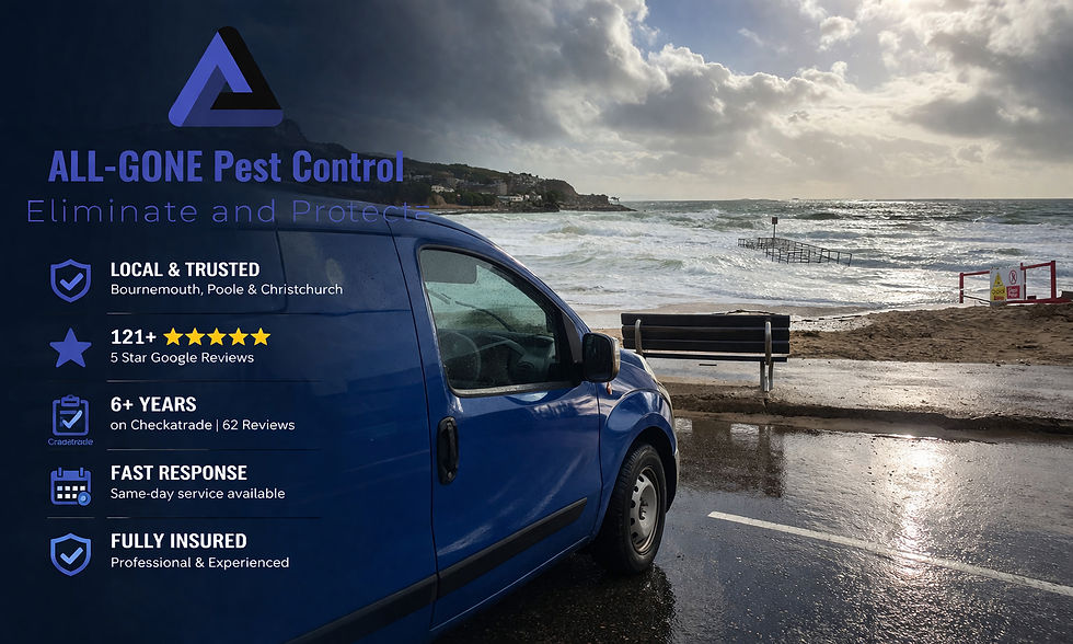 Discreet Pest Control – Unmarked Vans Available in Bournemouth, Poole & Christchurch