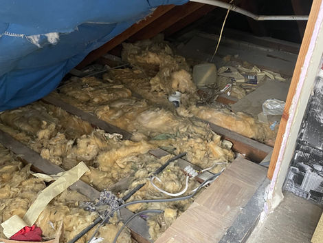 alt="rodent exterminator removing a rat nests in a Bournemouth home"