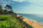 alt="Bournemouth alum chine Pest Control local same day service avalible"