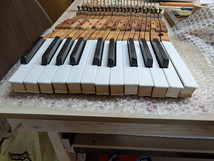 Grand piano keys with burnt keytops