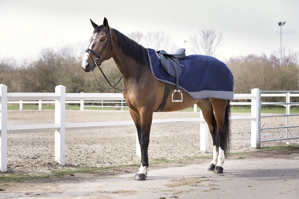 Equitheme, “TYREX 600 D” ridtäcke