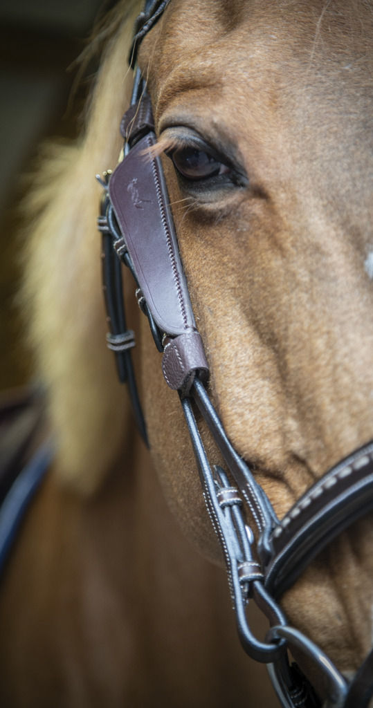 Miniatyrbild: Penelope, blinkers