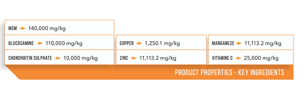 Miniatyrbild: Cavalor, Arti Motion, ledtillskott