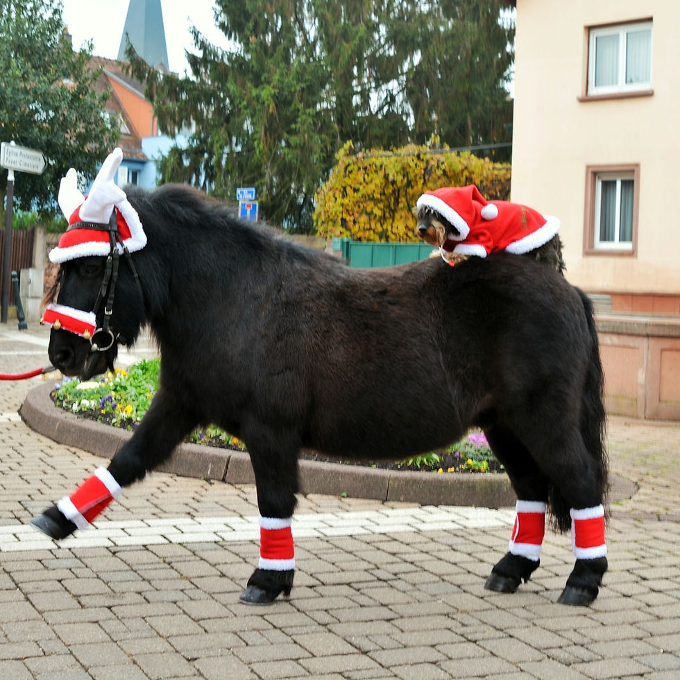 Miniatyrbild: Equitheme, "Noël" julhuva i form av renhorn