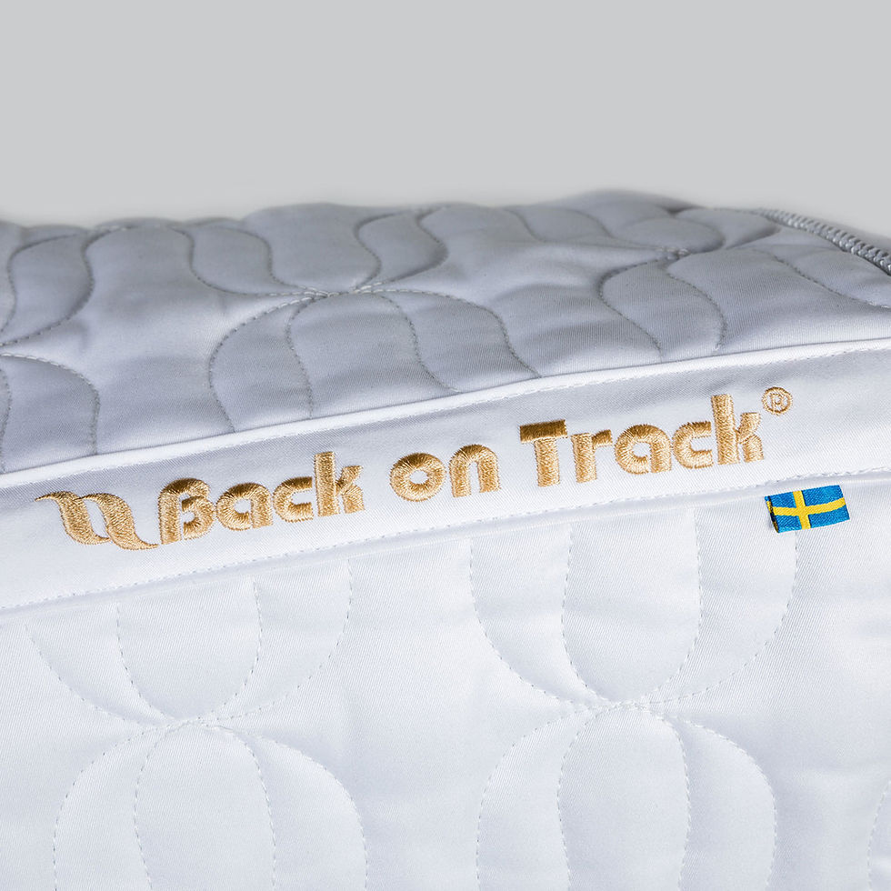Miniatyrbild: Back on Track, Deep Nights, schabrak dressyr