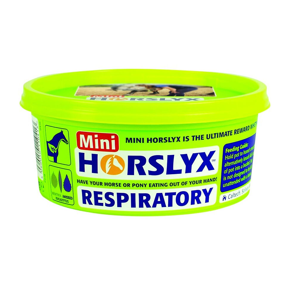 Miniatyrbild: Horslyx Mini Licks, slicksten 650g, olika smaker