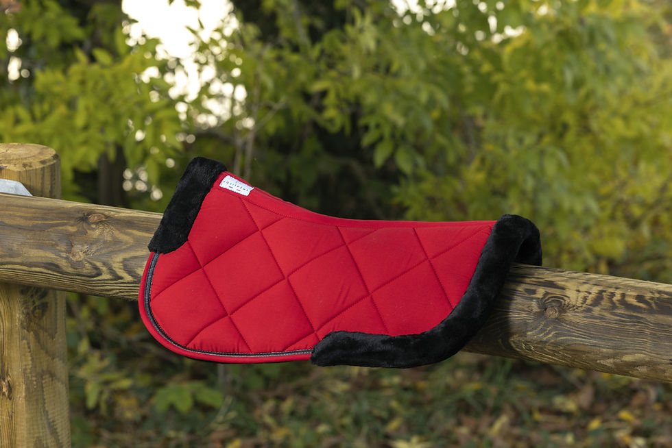 Miniatyrbild: Equitheme, "Infinity" sadelpadd