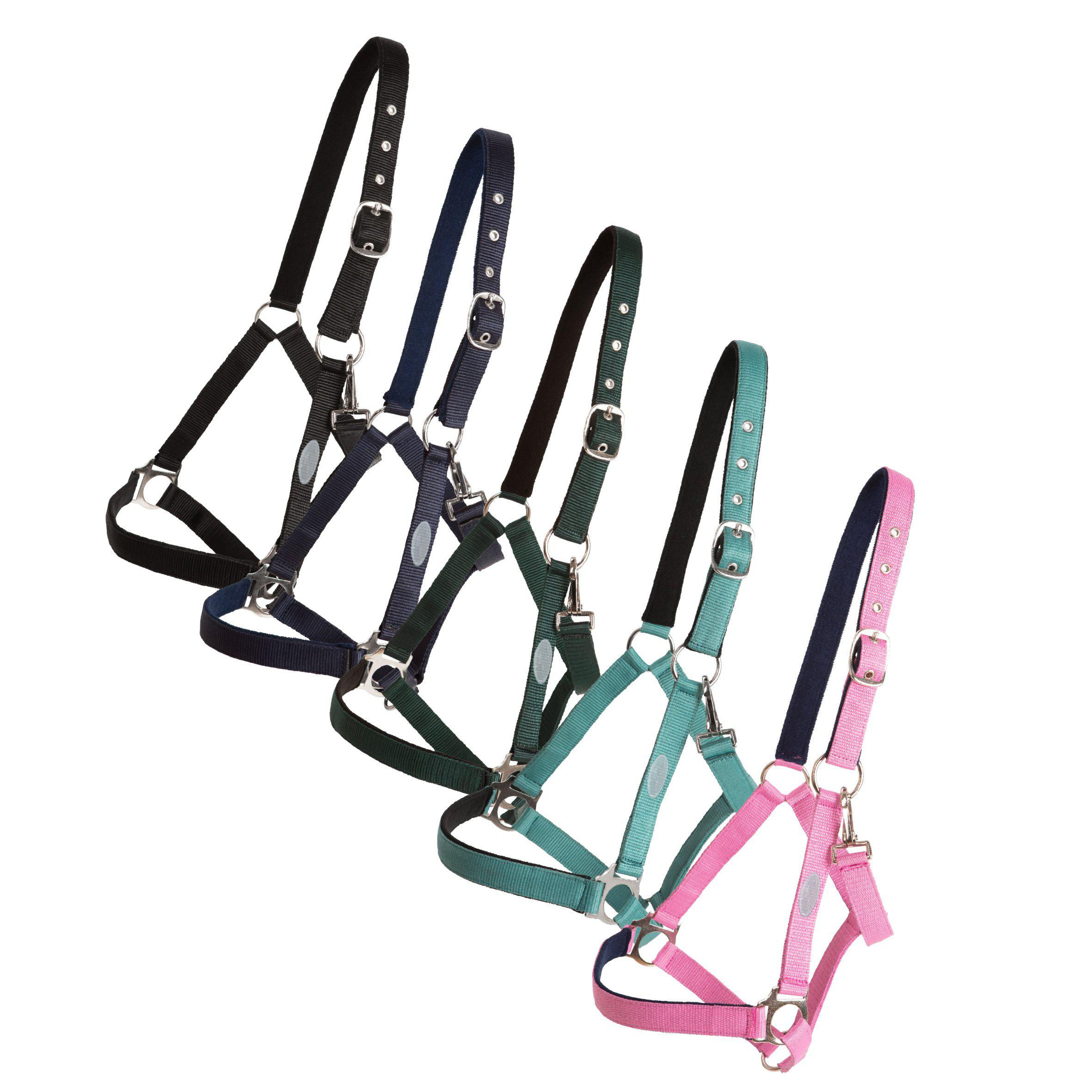 Horse Unique, Basic grimma