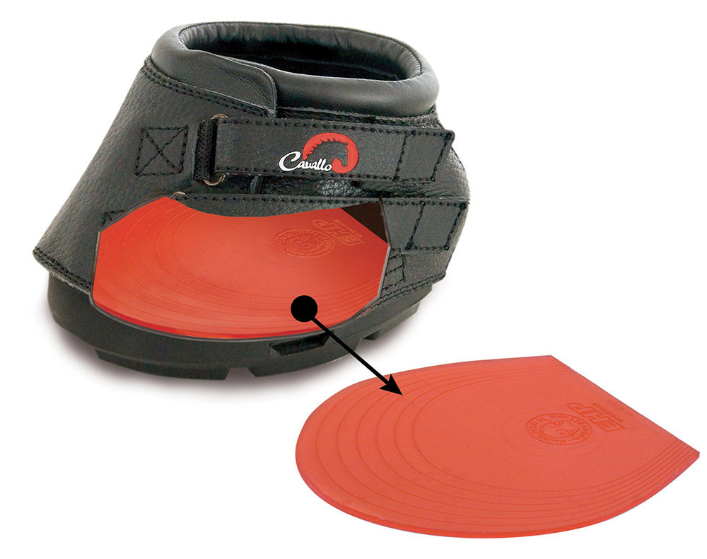 Cavallo, Gel Pad