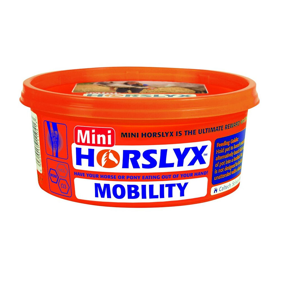 Miniatyrbild: Horslyx Mini Licks, slicksten 650g, olika smaker