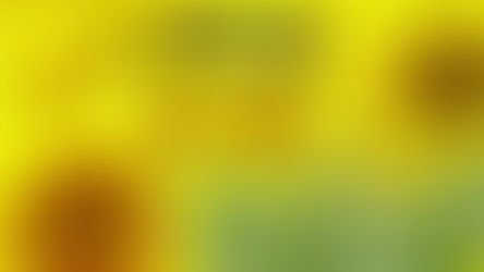 Liquid Lecithin: a Key Ingredient for Health and Manufacturing