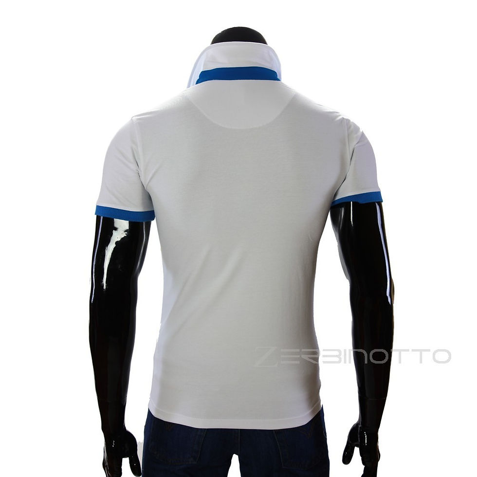 Миниатюра: Мужская рубашка поло 0104-6-1