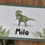 Miniaturbild: Erinnerungsbox / Geschenkbox Dino