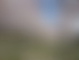 Studio This Week. (4月5日-4月11日）