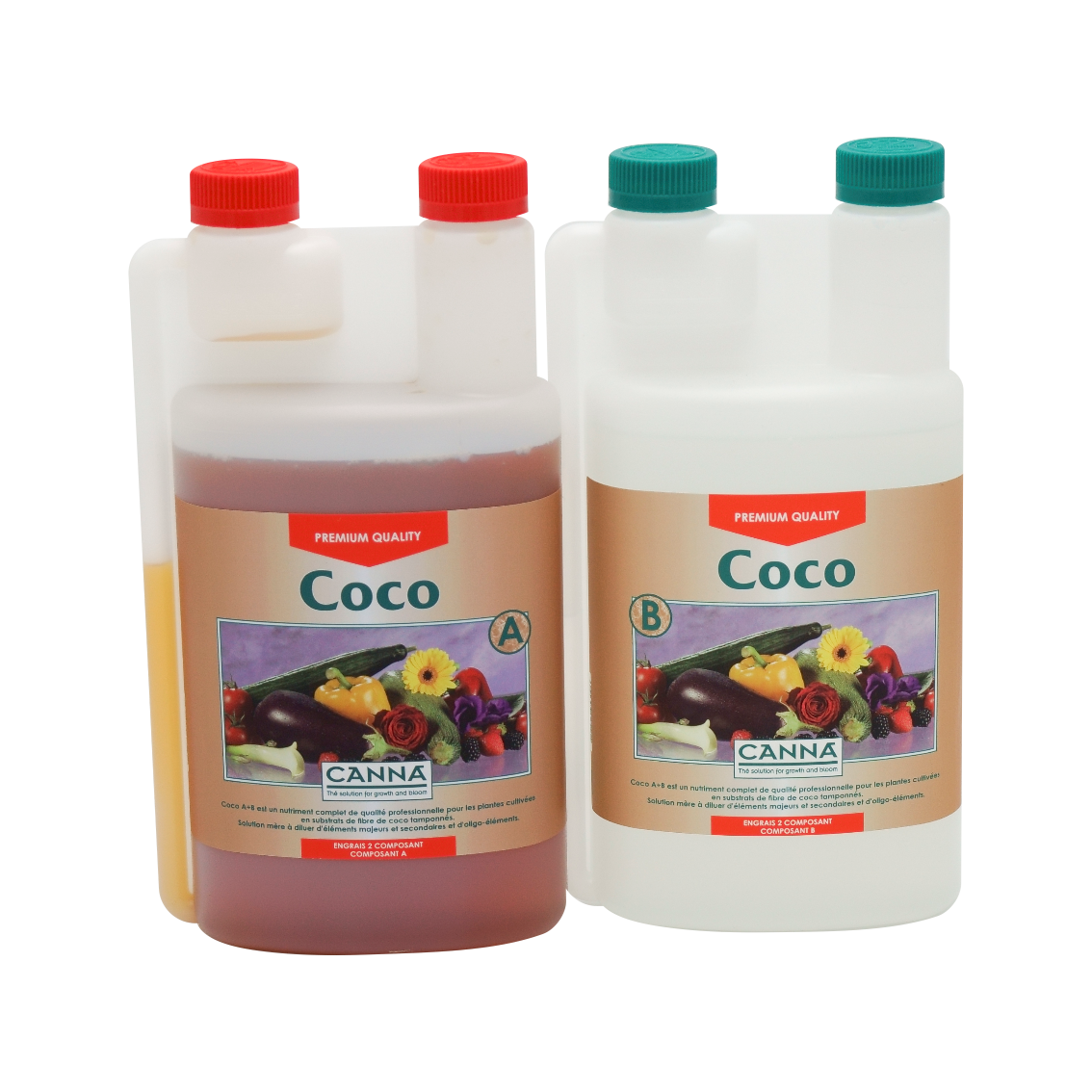Canna Coco