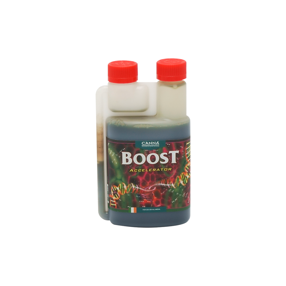 Thumbnail: Canna Boost