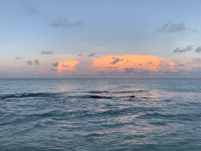 Personal-Reflection